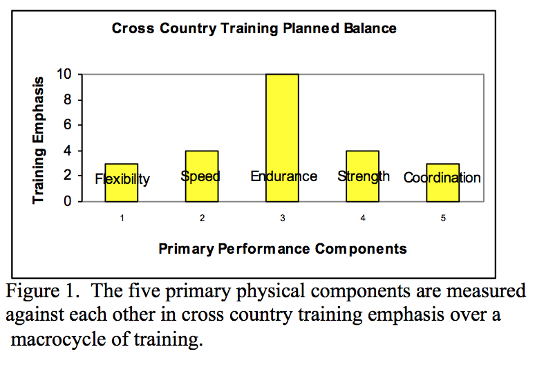 Strength Training for Cross Country Runners Track and Field Toolbox